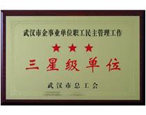 三星级单位